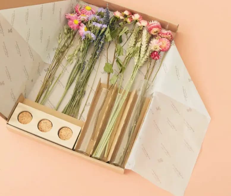 Trio de soliflore rose